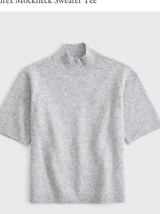 Abercrombie & Fitch Tops - Abercrombie Sparkly Mockneck Sweater Tee